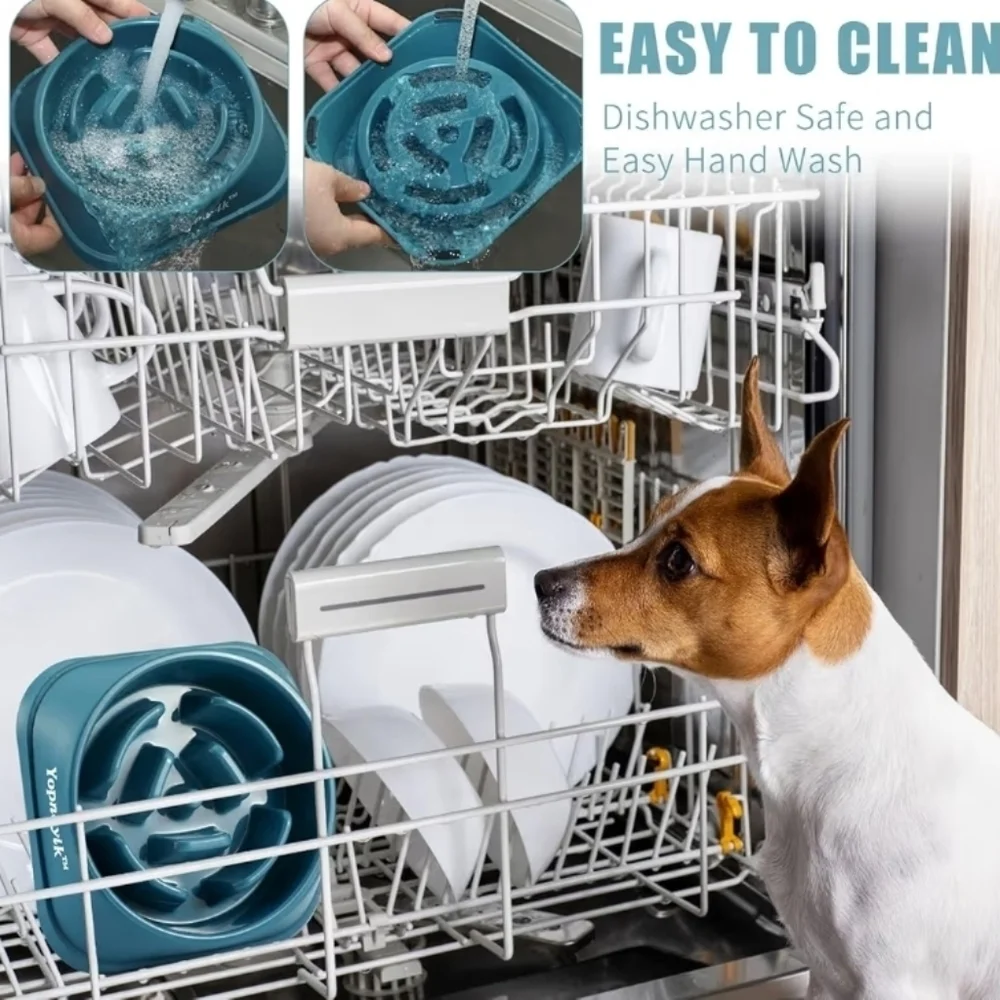 Amazon 𝐂𝐨𝐧𝐝𝐢𝐭𝐢𝐨𝐧 used